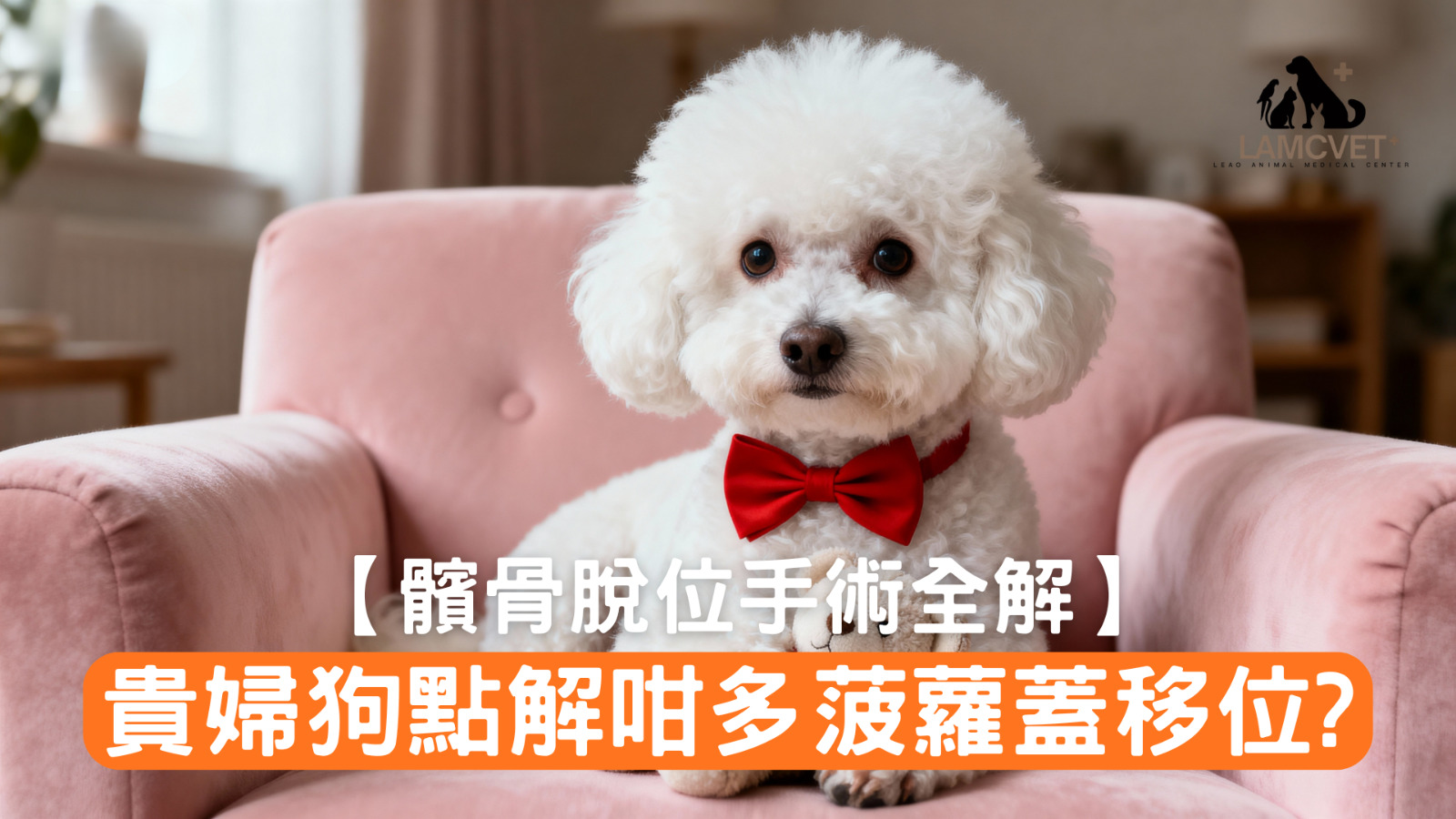 貴婦狗髕骨脫位手術 - 波羅蓋移位原因及治療